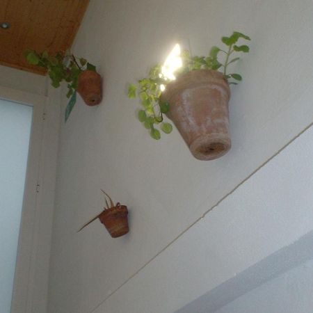 Hotel Rural Rocio El Rocío Zewnętrze zdjęcie