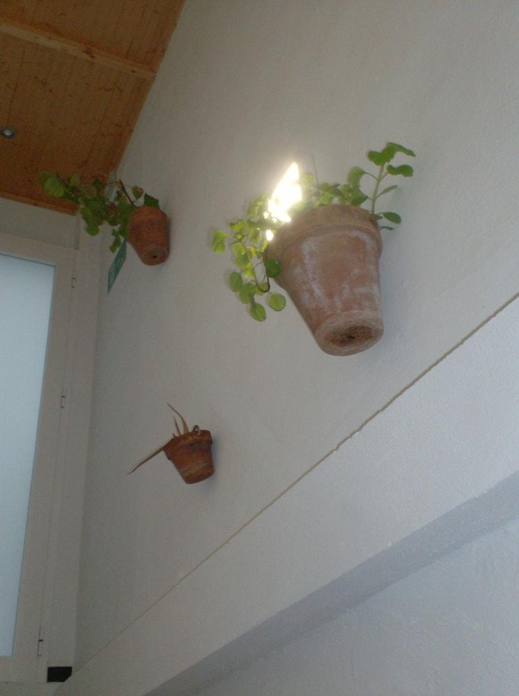Hotel Rural Rocio El Rocío Zewnętrze zdjęcie